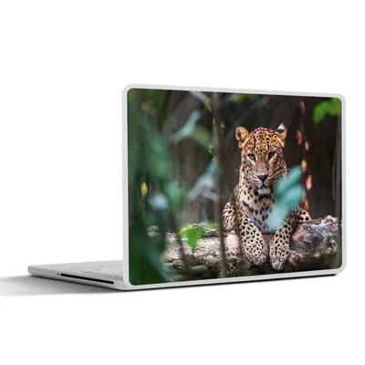 Produktbild von MuchoWow® Laptop Aufkleber Sticker Cover Panther - Dschungel - Tiere 40x30 cm - Laptop Dekoration - Selbstklebend