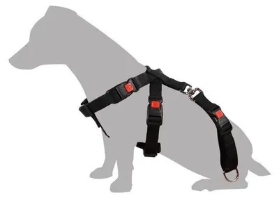 Immagine prodotto di Imbracatura di sicurezza per cani Karlie taglia. L