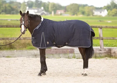 Immagine prodotto di Stalldecke Harry's Horse Highliner 200 gr