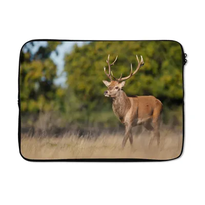 Produktbild von MuchoWow® Laptop Hülle 13 Zoll Tiere - Hirsche - Geweihe - Waldtiere - Natur Laptoptasche - Laptophülle - Sleeve - Rundumschutz