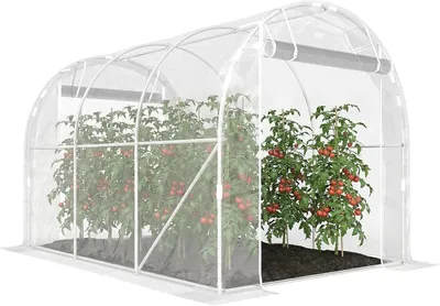 Image de Foliekas - Tuinkas - Serre à légumes - Serre - Mini-serre - Structure en acier galvanisé
