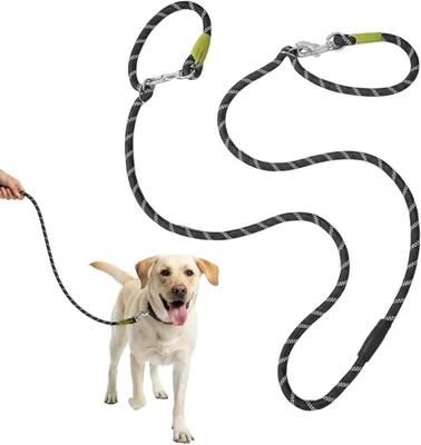 Obrázok produktu pre Nastaviteľné vodítko pre psa 3 m, na výcvik, 15-60 kg, nylon s 2 karabínami