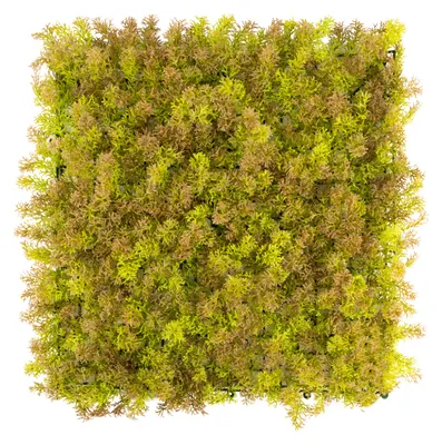 Produktbild von Primaflor Kunstpflanzen Wand MOOS Braun 50x50cm Mooswand Wanddekoration Pflanzenwand