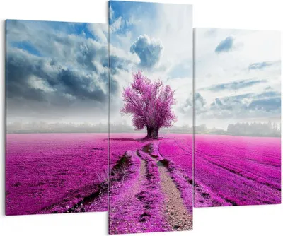 Produktbild von Bild auf Leinwand - Leinwandbild - Heidefeld Baum Wolken Landschaft - 130x100cm - Wand Bild - Wanddeko - Leinwanddruck - Bilder - Kunstdruck - Leinwand bilder - Wandkunst - CB130x100-2547