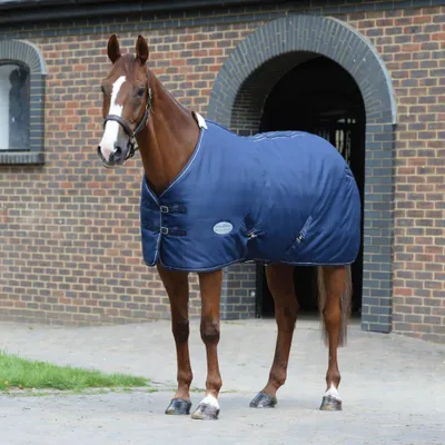 Image de Weatherbeeta 1200D Stable Standard Neck Medium 220g - Taille 150