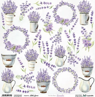 Immagine prodotto di SCRAPandME Carta per scrapbooking 30x30 cm, 250 g, stampata su un solo lato, Lavender Flowers