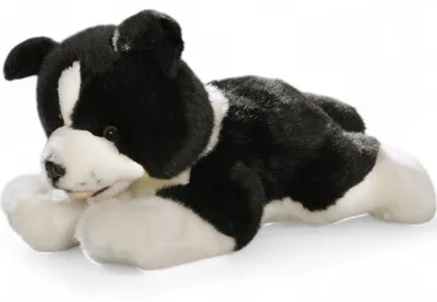 Zdjęcie produktu dla Carl Dick Border Collie szczeniak leżący ok. 29cm 2692 Przytulanka, miękka zabawka, przytulanka