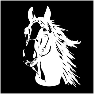 Productafbeelding van Paardenhoofd Sticker voor Auto of Trailer in Wit