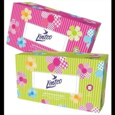 Zdjęcie produktu dla Chusteczki Higieniczne (200) 2W Satin ** Linteo