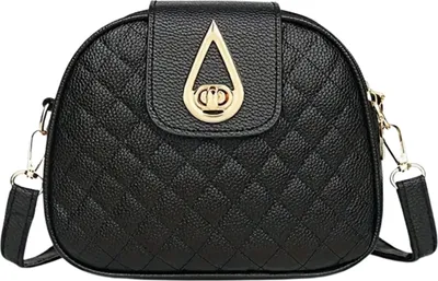A black quilted crossbody bag with gold hardware.