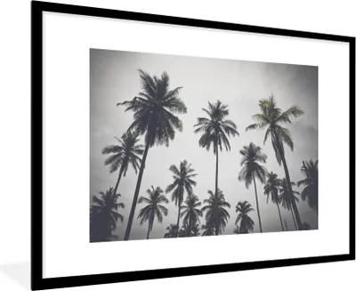 Produktbild von MuchoWow® Gerahmtes Poster Palme - Tropisch - Natur 90x60 cm - Poster mit Schwarzem Bilderrahmen Wandposter Rahmen Foto Bilder - Wanddekoration - Fotos