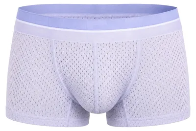 Image de CODE 22 - Sous-vêtement Boxeur ajusté Hommes - Sport Mesh Bay Trunk Lavander - 1x Taille M