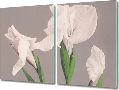 Produktbild von Coloray Küchenbrett Kochplattenabdeckung Hackbrett Schneidebrett Herdabdeckplatte 2x40x52 cm - Blumen Pflanzen