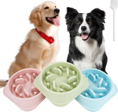 Produktbild von Langsame Futterstation für Hunde - 3 Stück, rutschfest, interaktiv, anti-schlingen, gesundes Fressen für Hunde und Katzen (blau, rosa, grün)