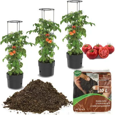 Obrázok produktu pre 3x paradajka z plastového kvetináča 12 l + univerzálna zemina 30 l 4 v 1 substrát s mikroorganizmami pre zeleninu, pestovateľ paradajok, kvetináč na paradajky, sadba, zelenina, podložka pod paradajky