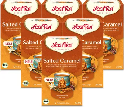 Produktbild von 6 x YOGI TEA Salted Caramel  | 6 x 34g