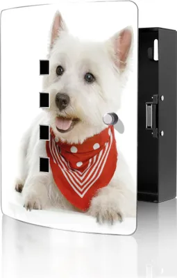 Zdjęcie produktu dla banjado designerska skrzynka na klucze ze stali nierdzewnej na 10 kluczy, szafka na klucze o wymiarach 24 x 21,5 x 7 cm z zamkiem magnetycznym, Westie [BWSK 10192]