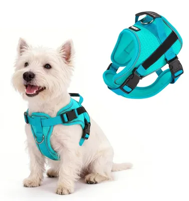 Produktbild von Reflektierendes Hundegeschirr mit Griff für kleine und mittelgroße Hunde