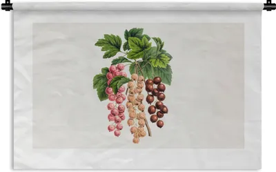Produktbild von MuchoWow® Wandteppich Wandbehang Lebensmittel - Beeren - Pflanze 60x40 cm Tapisserie Dekoration Wandtuch - Wanddekorationen