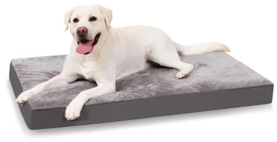 Produktbild von Hundebett, orthopädisch – extra groß, 120x75x9 cm – mit Schaumstofffüllung