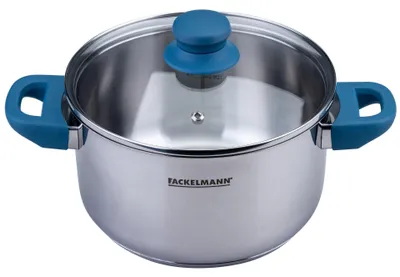 Obrázok produktu pre Fackelmann hrniec s pokrievkou Essential, priemer 20 cm, vyrobený z nehrdzavejúcej ocele a bakelitu, 2-dielna súprava, vhodný pre všetky typy sporákov, vrátane indukčných