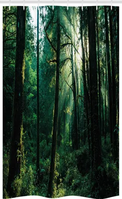 Produktbild von ABAKUHAUS Natur Schmaler Duschvorhang, Sonnenuntergang in Woods Bäume, Badezimmer Deko Set aus Stoff mit Haken, 120 x 180 cm, Grün Hellgelb