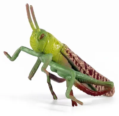 Immagine prodotto di Heuschrecke, figurina giocattolo, 7 cm – giocattolo educativo e oggetto da collezione per bambini