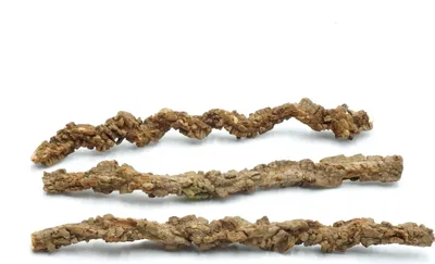 Zdjęcie produktu dla Żerdź Korkowa 5 sztuk - dla dużych PaPug 50 cm