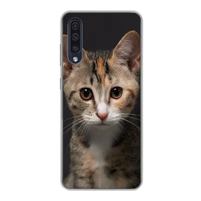 Produktbild von MuchoWow® Handyhülle Schutzhülle Hülle für Samsung Galaxy A30s Katze - Schwarz - Porträt Silikon Softcase Handy Hülle - Karteninhaber