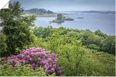 Produktbild von ARTland Poster Castle Stalker Loch Linnhe, Schottland Größe: 90x60 cm