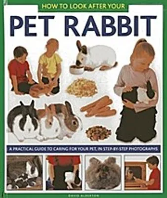 Produktbild von How to Look After Your Pet Rabbit