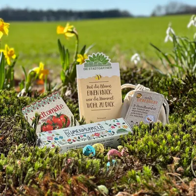 Zdjęcie produktu dla Zestaw nasion wielkanocnych – ekologiczny prezent wielkanocny dla dzieci – nasiona – zestaw z kulkami kwiatowymi, nasiona pomidorów ekologicznych, bomby nasienne i nasiona na powitanie