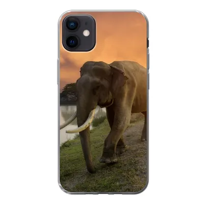 Produktbild von MuchoWow® Handyhülle Schutzhülle Hülle für iPhone 12 mini Elefant - Wasser - Tiere - Sonnenuntergang - Natur Silikon Softcase Handy Hülle - Bild