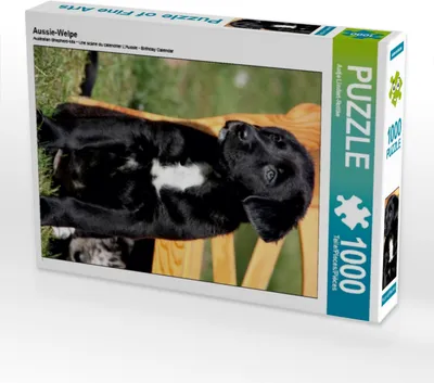 Produktbild von Calvendo Aussie-Welpe 1000 Teile Puzzle hoch 480x640mm, Lindert-Rottke Antje; 7456927