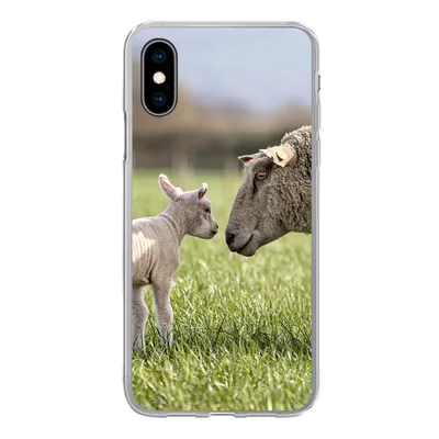 Produktbild von MuchoWow® Handyhülle Schutzhülle Hülle für iPhone X Schafe - Gras - Lamm Silikon Softcase Handy Hülle - Handyhülle