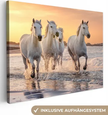 Produktbild von MuchoWow® - Leinwandbilder - Pferde - Sonne - Meer - Strand - Tiere, Wandbild, Wanddeko Bilder Wohnzimmer, 40x30 cm