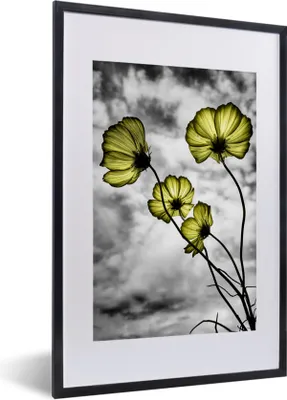 Produktbild von MuchoWow® MuchoWow® Gerahmtes Poster Blumen - Schwarz - Weiß - Gelb 40x60 cm - Poster mit zchwarzem Bilderrahmen - Poster in Rahmen