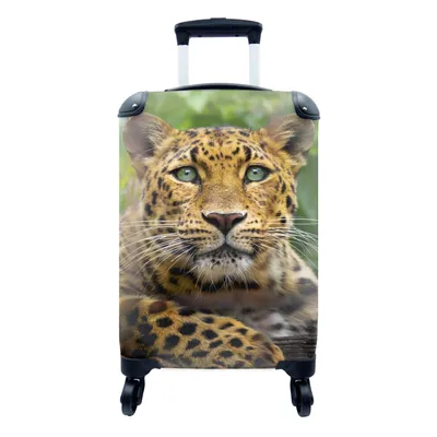 Produktbild von MuchoWow® Koffer Handgepäck Trolley Rollkoffer Kleine Reisekoffer mit 4 Rollen - Panther - Dschungel - Grün - Cabin Size < 55x40x23 cm & 55x40x20 cm - Fotokoffer - Kabinenkoffer - Boardgepäck - Reise-Box - Reisekoffer - Reisegepäck - Koffer mit Bild - Trolley für Kinder