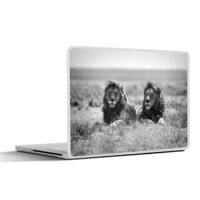 Produktbild von MuchoWow® Laptop Aufkleber Sticker Cover Löwen - Tiere - Savanne - Schwarz und weiß 25x18 cm - Laptop-Deko