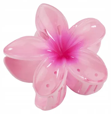 Produktbild von Miss Glow Große Haarspange Hawaii-Blume Plumeria 41946