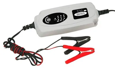 Image de Chargeur de batterie automatique 12V