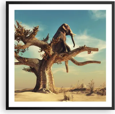 Produktbild von Gerahmtes Poster - Schwarzer Rahmen - Sitzen Elefant Baum - 60x60 cm - Wand Bild - Wanddeko - Wandbilder - Kunstposter - Wandposter - Bilderrahmen - Bilder - Kunstdruck - Wandbild - P2BAC60x60-4345