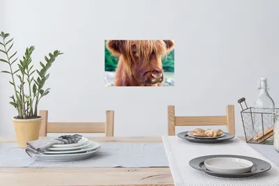 Produktbild von MuchoWow® - Wierderverwendbar - Selbstklebend