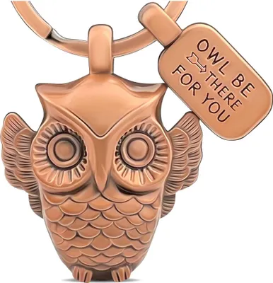 Produktbild von LANOLU Schlüsselanhänger Eule, Eulen Geschenke, Mutmacher Geschenk, Glücksbringer Schlüsselanhänger Freundschaft  Owl Be There For You