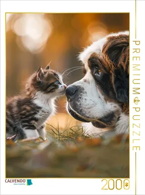 Produktbild von CALVENDO Puzzle Freunde für´s Leben | 2000 Teile Lege-Größe 90x67cm Foto-Puzzle für glückliche Stunden