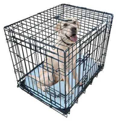 Image de Cage de transport pliable pour chien, avec tapis et bac en métal