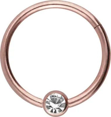Produktbild von Ohrpiercing, Nasenpiercing, Septum Piercing Titan Segmentring Clicker KRISTALL RoséGold Innendurchmesser: 10mm + Stabstärke: 1mm
