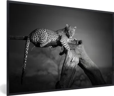 Produktbild von MuchoWow® Gerahmtes Poster Panther - Baum - Tiere - Schwarz - Weiß 90x60 cm - Poster mit Schwarzem Bilderrahmen Wandposter Rahmen Foto Bilder - Fotorahmen - Foto-Plakat