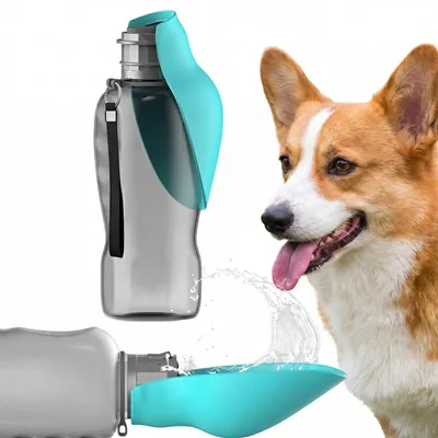 Hundetrinkflasche 800 ml BPA-frei für unterwegs, blau