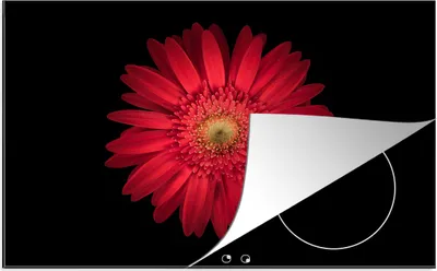 Produktbild von KitchenYeah© Herdabdeckplatte Gänseblümchen - Blume - Rot , 81x52cm, Küche Deko, Glaskeramikkochfeld Herdabdeckung, Abdeckplatte fùr Kochfeld